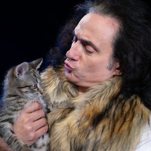 Kostenloses Stock Foto zu #indoor, analyse, arbeitsplatz